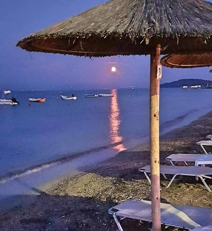 Ολόκληρο το διαμέρισμα, Corfu Olivia Apartments in Μωραΐτικα, Κέρκυρα