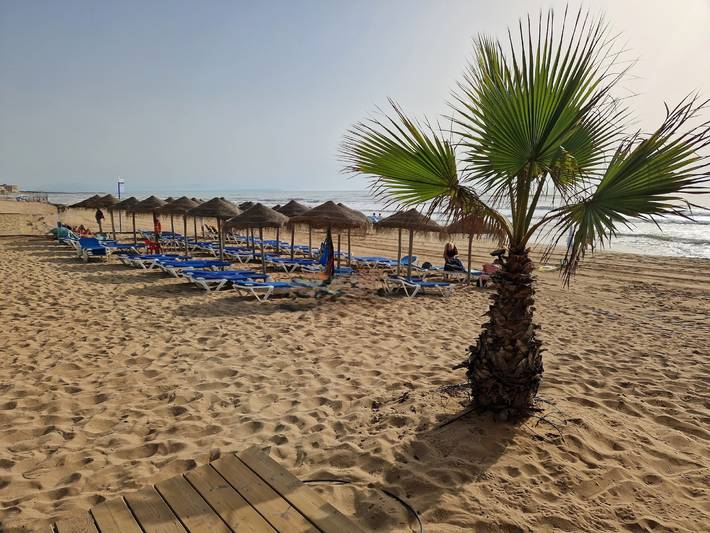 Ferienwohnung für 5 Personen, mit Balkon und Terrasse sowie Pool in La Mata - 2
