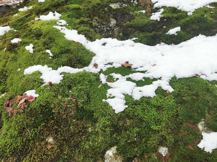 Gîte pour 2 personnes, avec vue et jardin à Bezau - 4