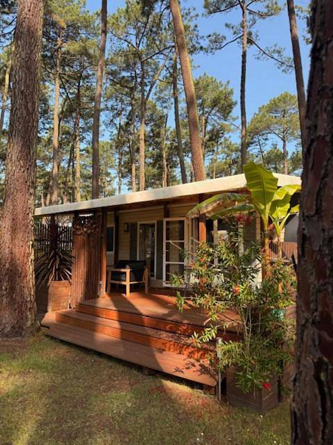 Camping para 4 personas en Seignosse