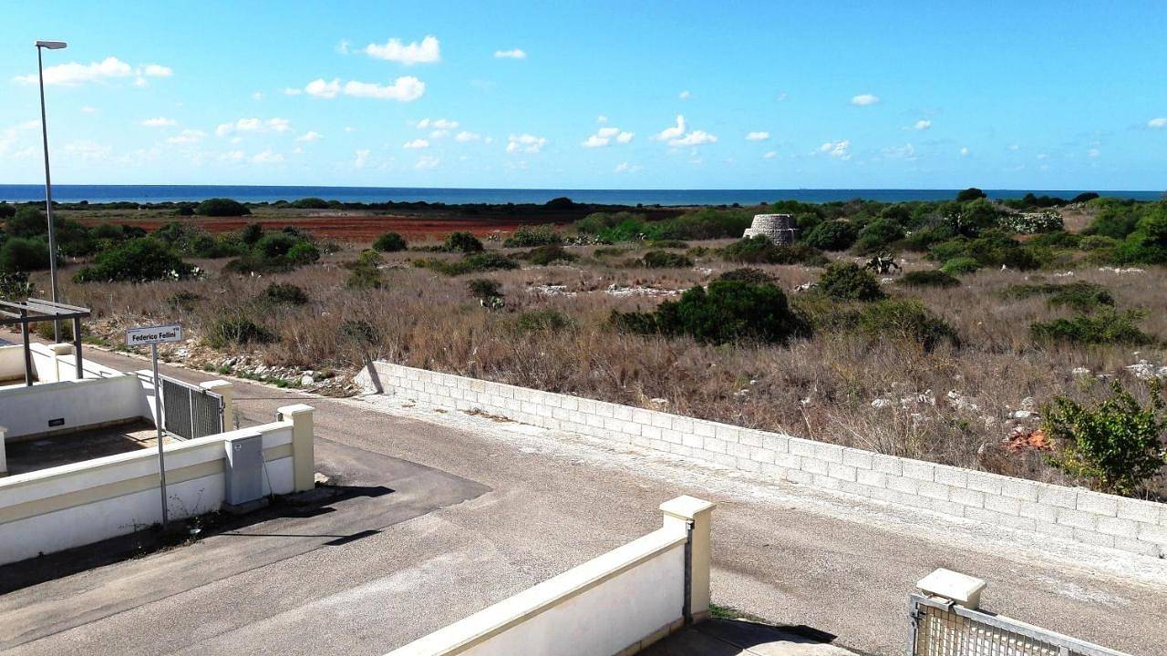 I tulipani di Torre Pali, foto 3