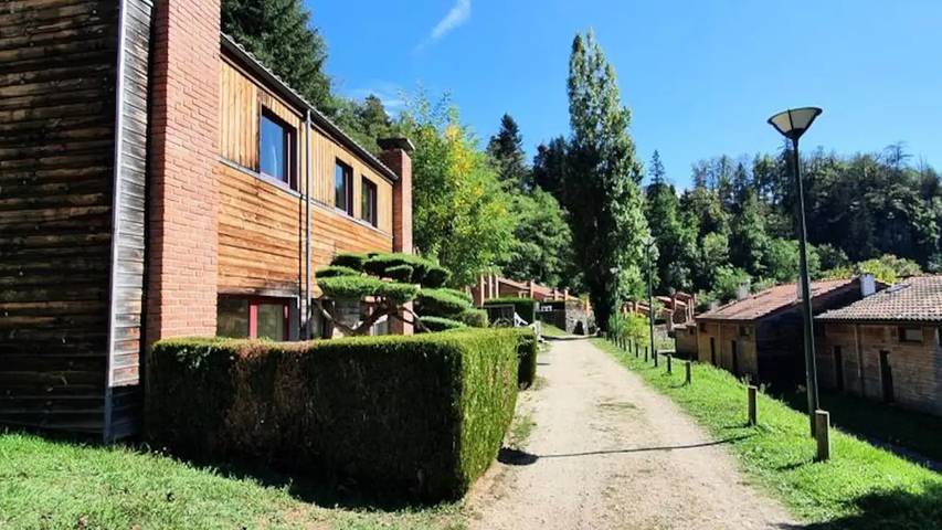 Gîte pour 3 personnes, avec Terrasse et Jardin à Vorey