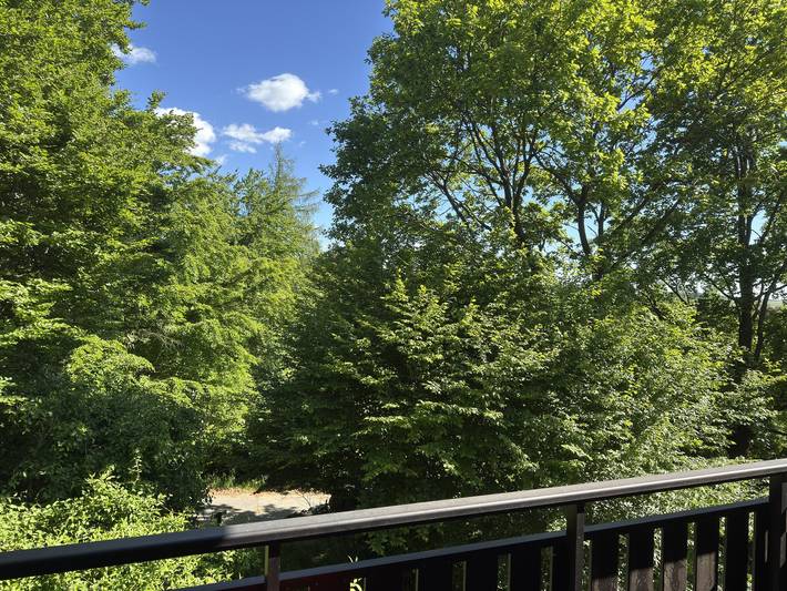 Ferienwohnung für 4 Personen, mit Balkon, mit Haustier in Frankenau - 3