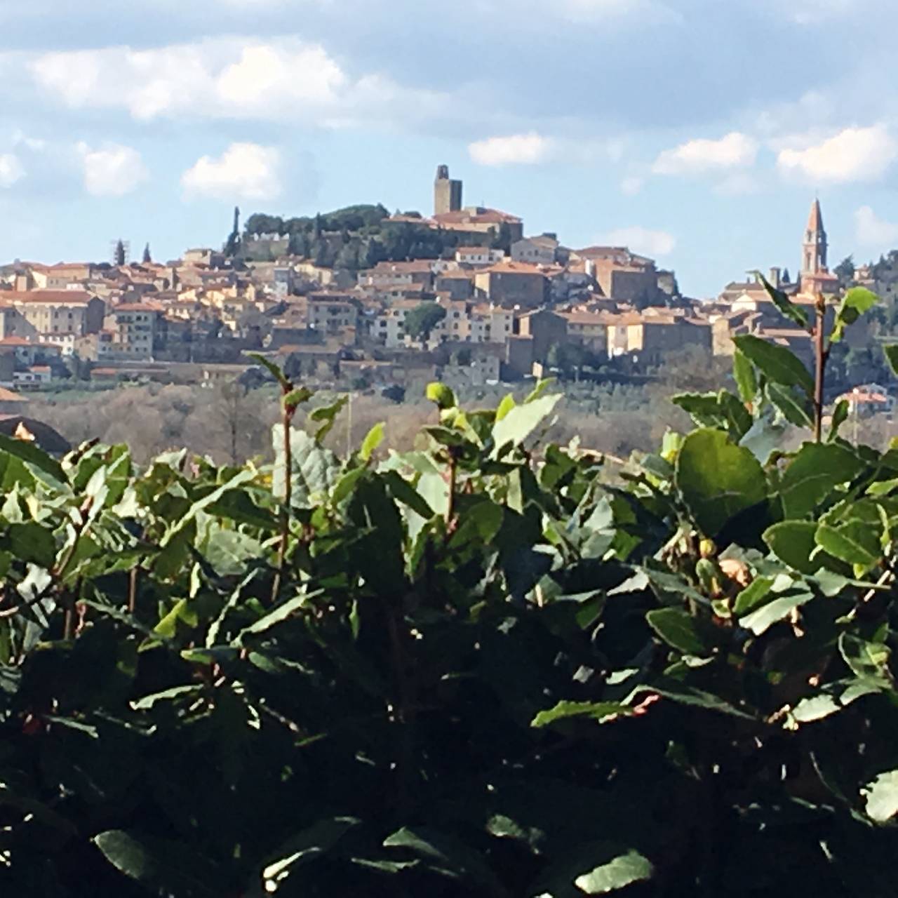 Agriturismo Borgo Santa Lucia, Villa Mimosa in Castiglion Fiorentino, Provincia di Arezzo
