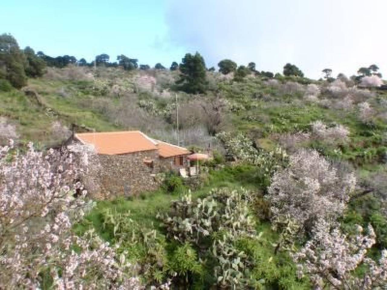Für 3 Personen  + 2 Kinder ca. 60 m² in El Pinar, El Hierro in Las Casas (EL Hierro), El Pinar de El Hierro