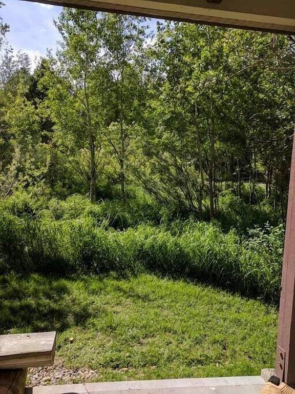 Ganze Wohnung, Spektakuläre Mountain Condo in großartiger Lage! 5 Meilen von Jhmr; 8 mi nach Jackson in Moose Wilson Road, Grand Teton Nationalpark