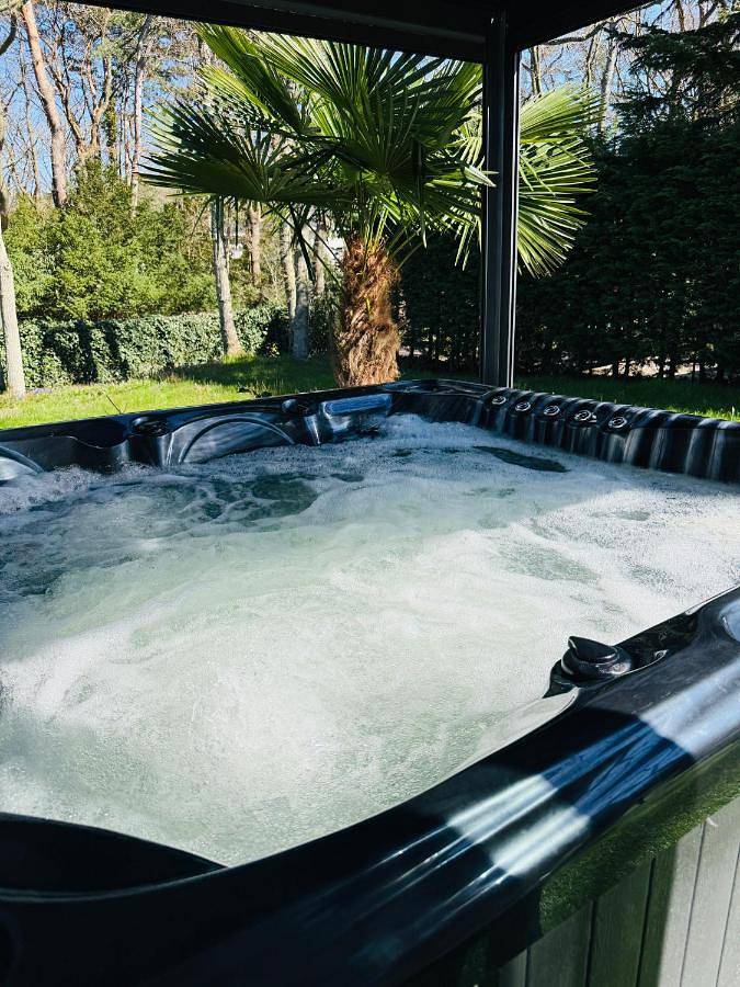 Vakantiehuis voor 10 personen, with Balkon and Whirlpool as well as Terras and Tuin in Wassenaar