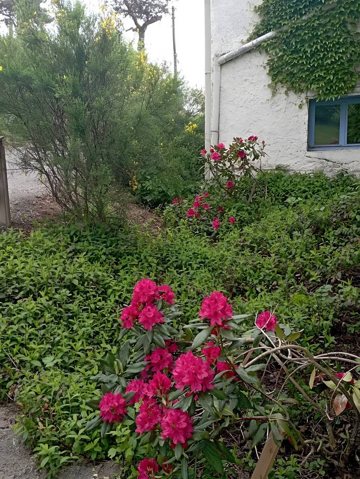 Chambre d’hôte pour 2 personnes, avec jardin, animaux acceptés dans la Loire - 4