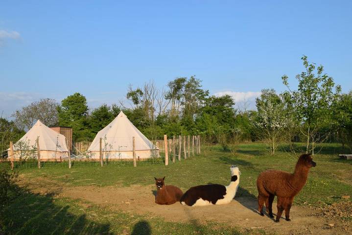 Gîte pour 7 personnes, avec jardin ainsi que piscine et terrasse dans Tuffalun - 2