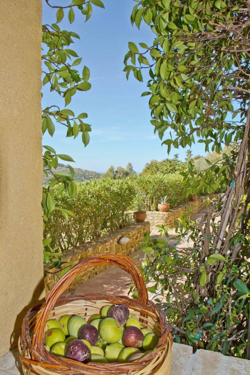 Borgo Riccio in Torchiara, Cilento Coast