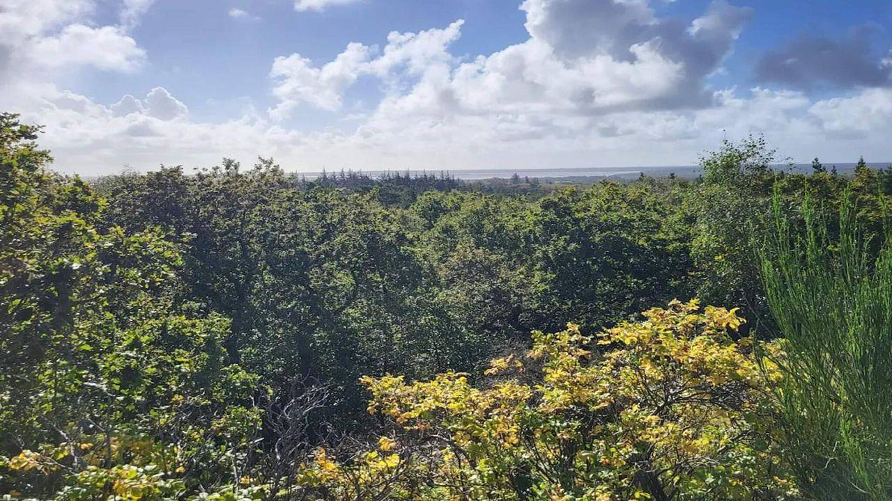 Ferienhaus für 8 Personen (150 m²) in Henne in Henne, Filsø See