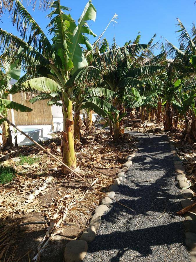 Casa rural para 2 personas, con piscina además de vistas y jardín en Guía de Isora - 4