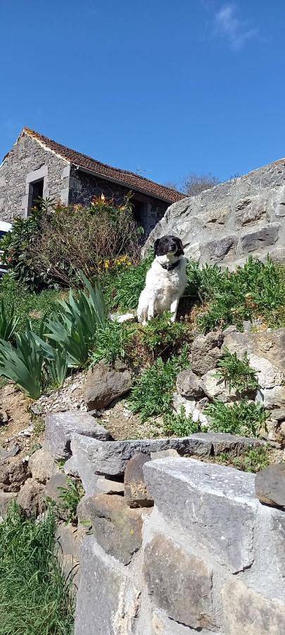 Location de vacances pour 6 personnes, avec jardin à Saint-Genès-Champanelle - 2