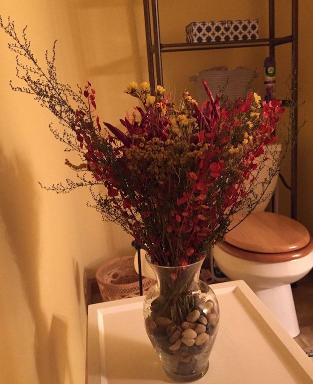 Ganze Wohnung, Komfortables Zuhause 2 1/2 mi. in die Innenstadt von Bloomington, Minuten zum Campus in Bloomington (IN), Monroe County (IN)