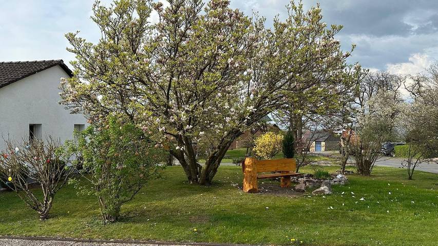 Ferienhaus für 4 Personen, mit Garten im Weserbergland - 3