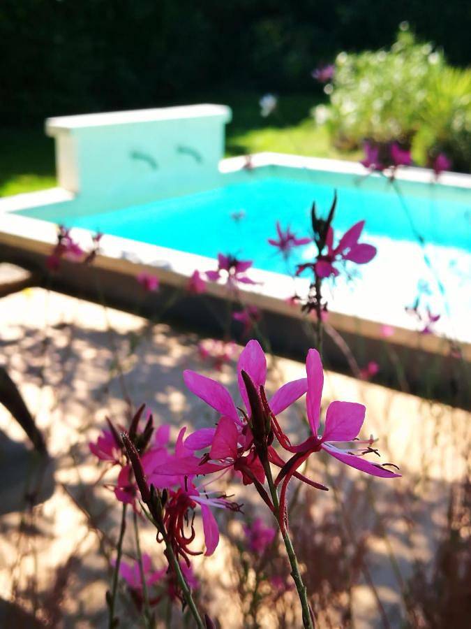 Chambre d’hôte pour 2 personnes, avec piscine ainsi que jardin et vue à Althen-des-Paluds - 4