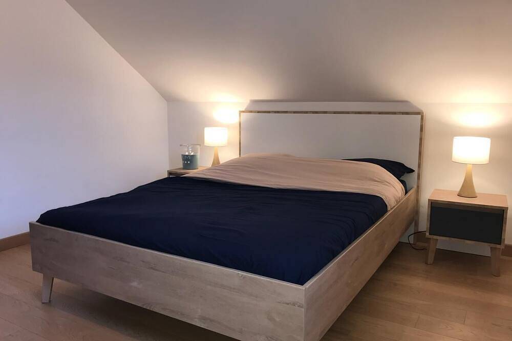 Appartement entier, Duplex lac noisettes, vue sur lac in Doussard, Parc naturel régional du Massif des Bauges