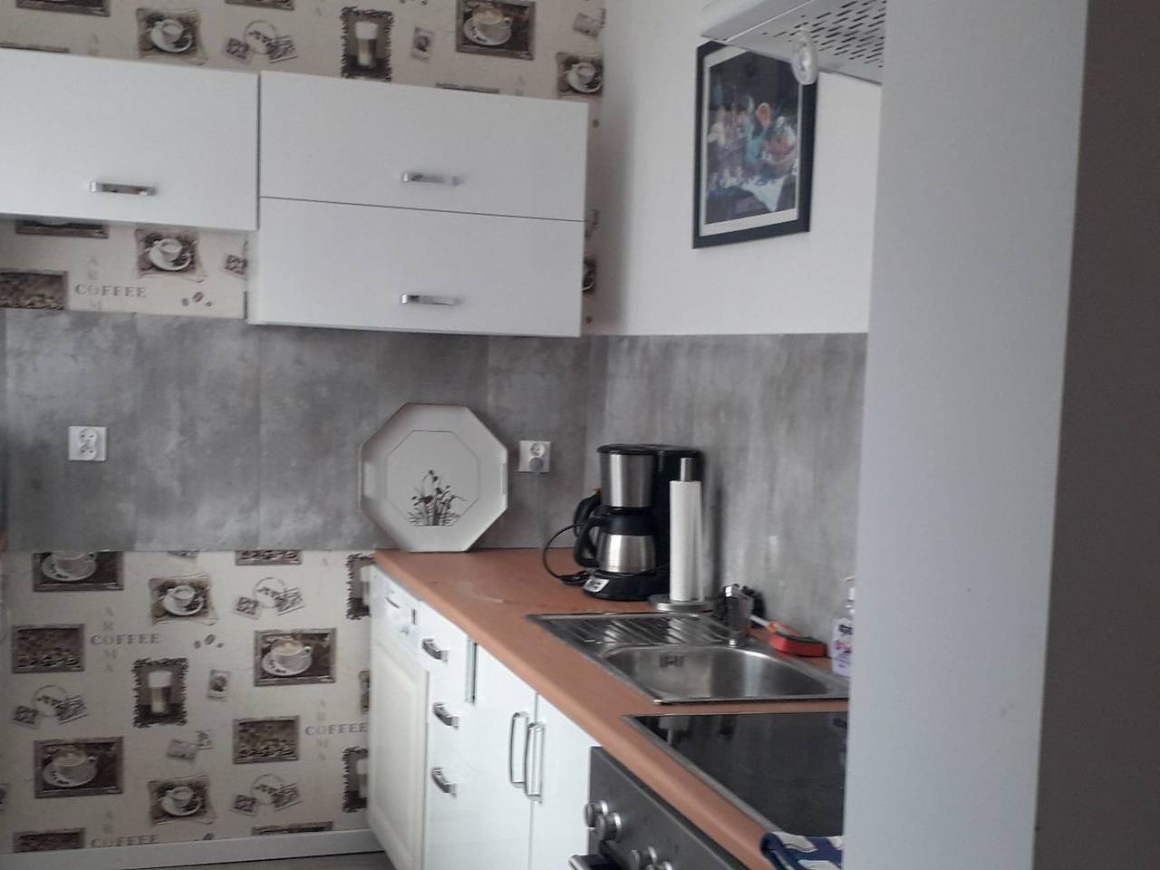Seefalke in Nowe Warpno, Stettiner Haff