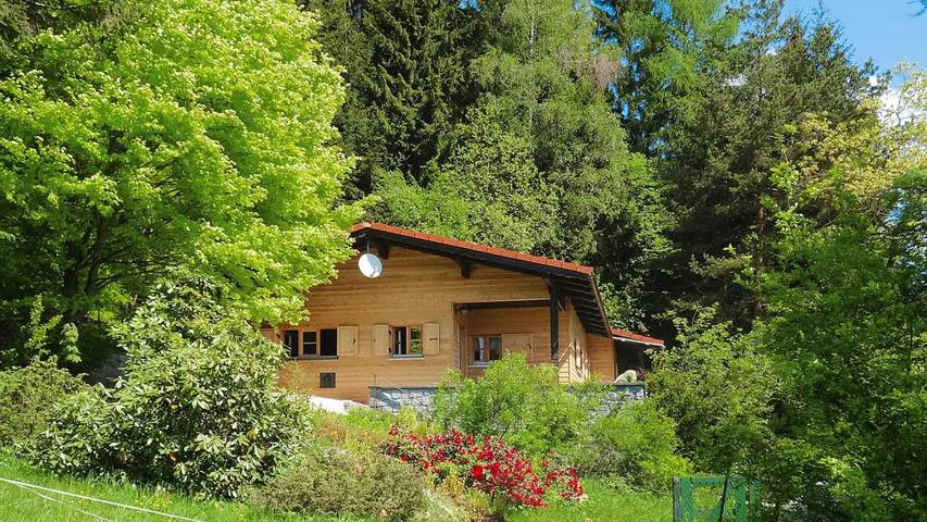 Ferienhaus für 4 Personen, mit Terrasse und Pool, mit Haustier in Bayern
