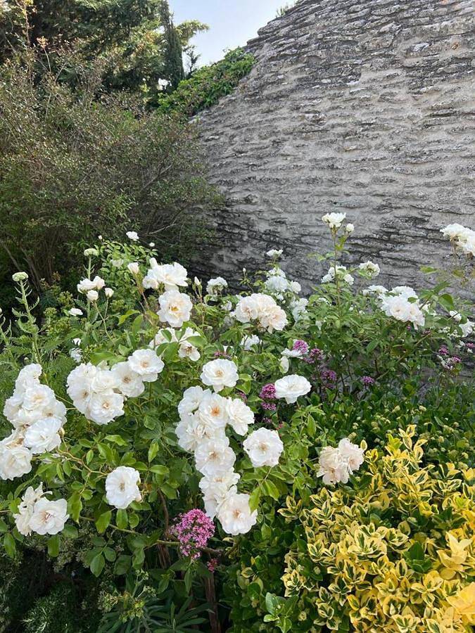 Location de vacances pour 2 personnes, avec piscine et jardin, adapté aux familles dans Village de Gordes - 2