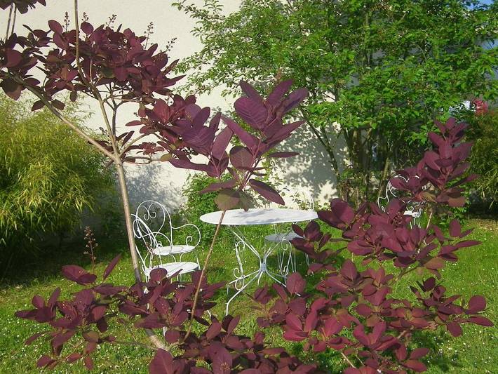 Chambre d’hôte pour 3 personnes, avec vue et jardin dans Veuzain-sur-Loire - 2