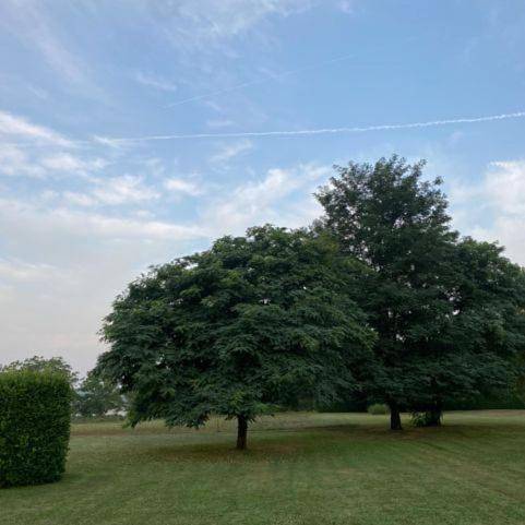 Location de vacances pour 11 personnes, avec terrasse et piscine ainsi que jardin et vue à Sainte-Mondane - 3