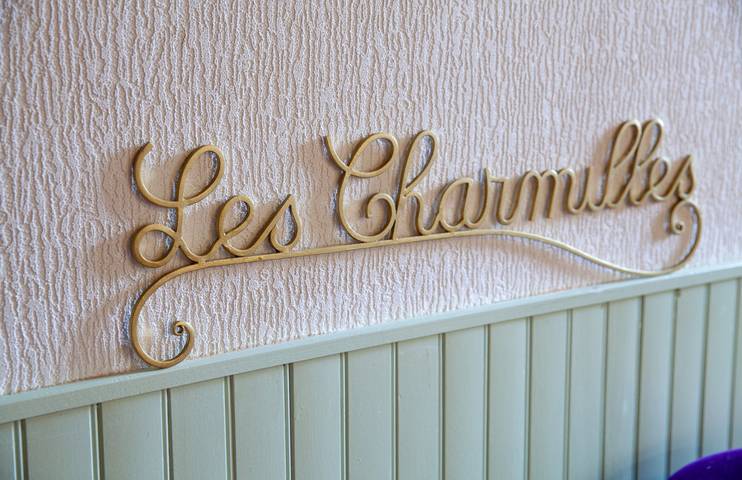 Location de vacances pour 17 personnes, avec terrasse et jardin, animaux acceptés dans Marne - 3