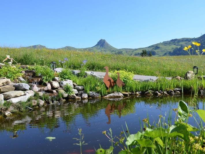Ferienwohnung für 3 Personen, mit Pool und Terrasse, mit Haustier in Damüls - 3
