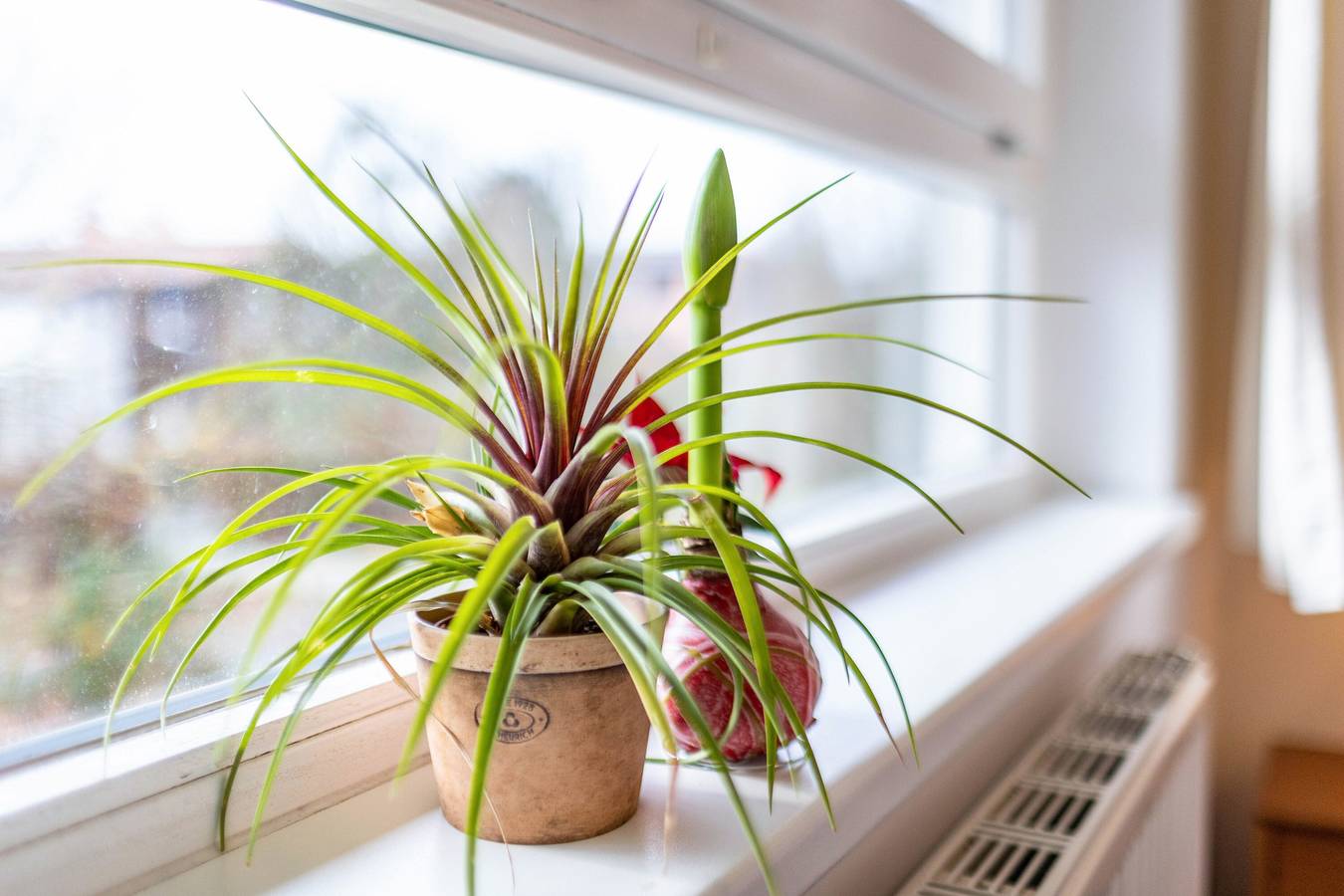 Room 'Albrechtshof Park View 4' in Potsdam, Mittelmark