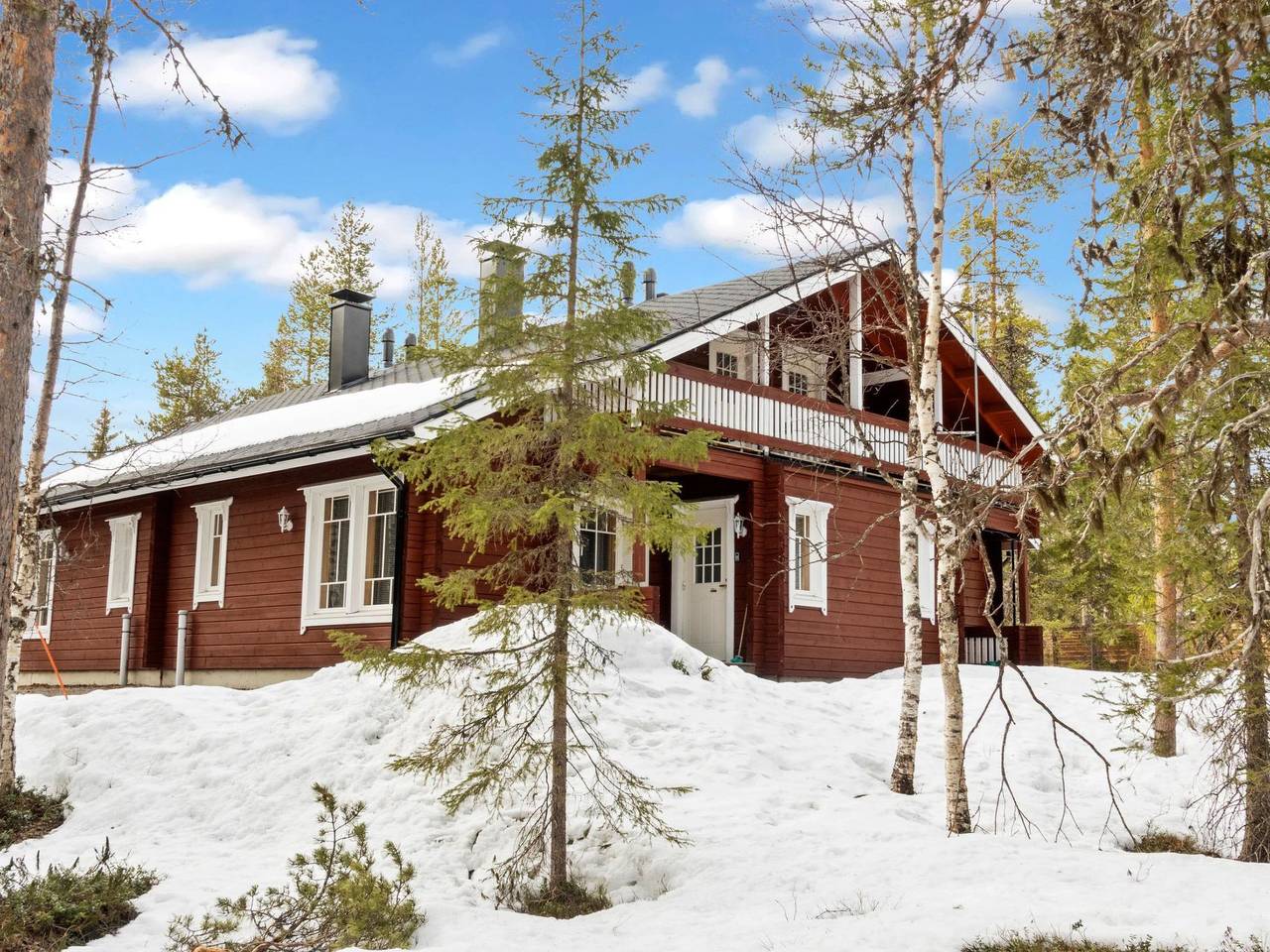 Hirvas levi 3 in Levi