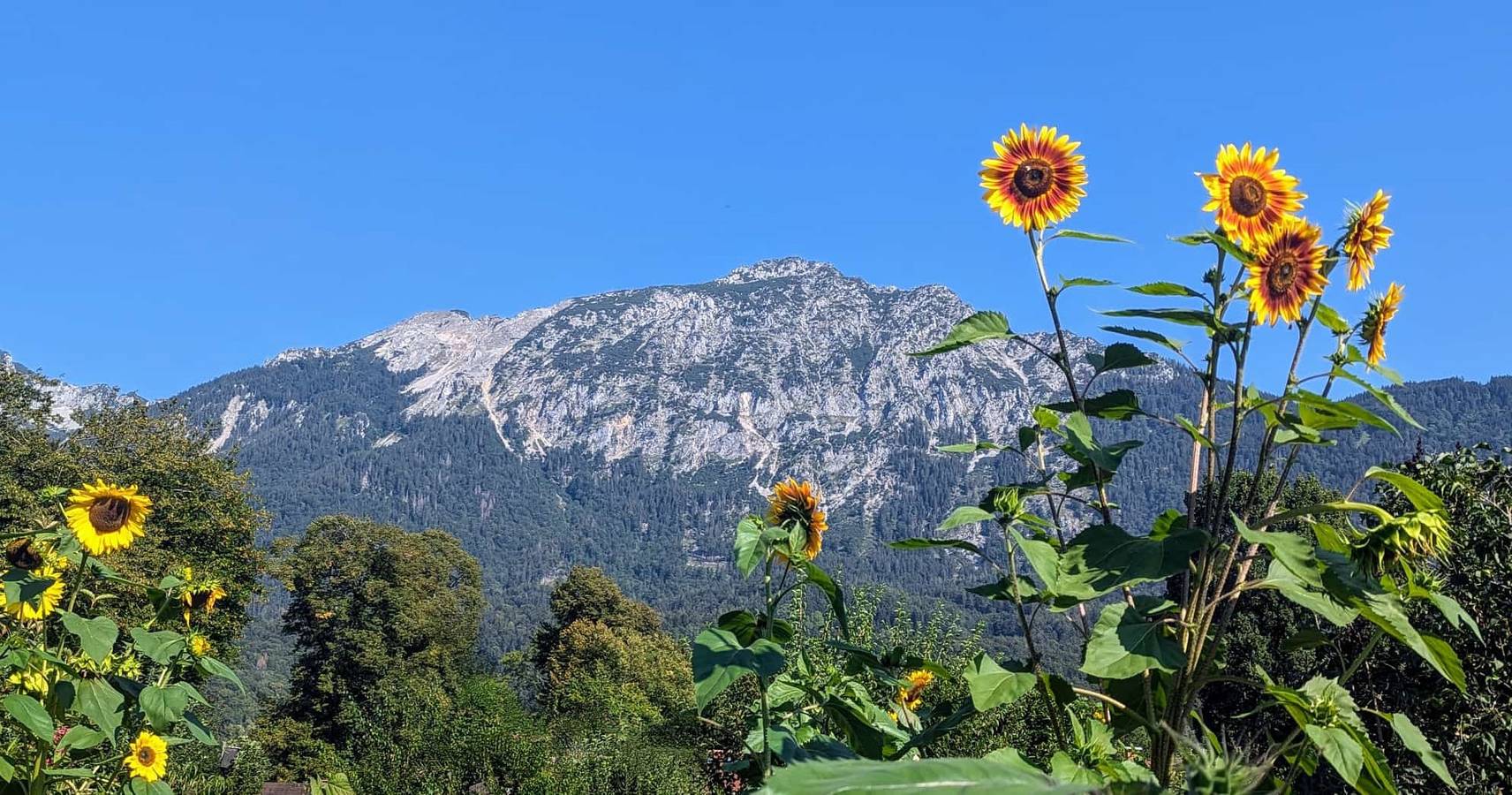 Ganze Ferienwohnung, Ferienwohnungen Natur Pur - Ferienwohnung Erholung Pur, 43 qm, 1 Wohn-, 1 Schlafraum in Bad Reichenhall, Berchtesgadener Alpen