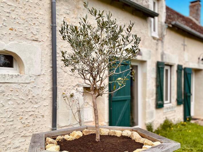 Location de vacances pour 2 personnes, avec vue ainsi que jardin et piscine dans Sainte-Gemme (Indre)