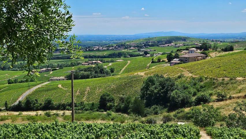 Location de vacances pour 2 personnes, avec jardin et vue à Chiroubles - 3