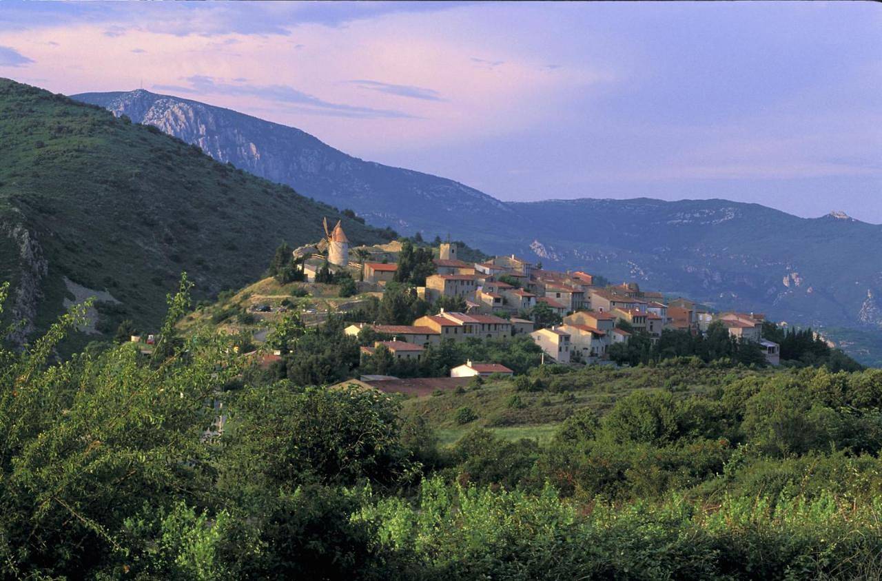 Les Santolines in Cucugnan, Parc naturel régional Corbières-Fenouillèdes