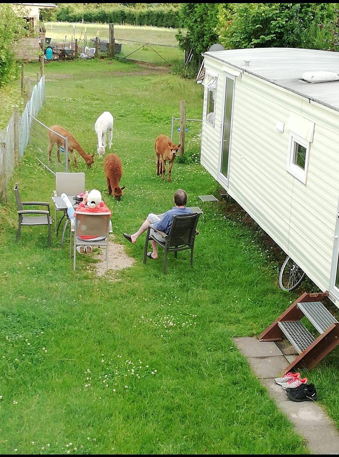 Entire holiday apartment, Mobile home "Eifel Domizil" with wallbox in Oberlascheid, Naturpark Hohes Venn-Eifel