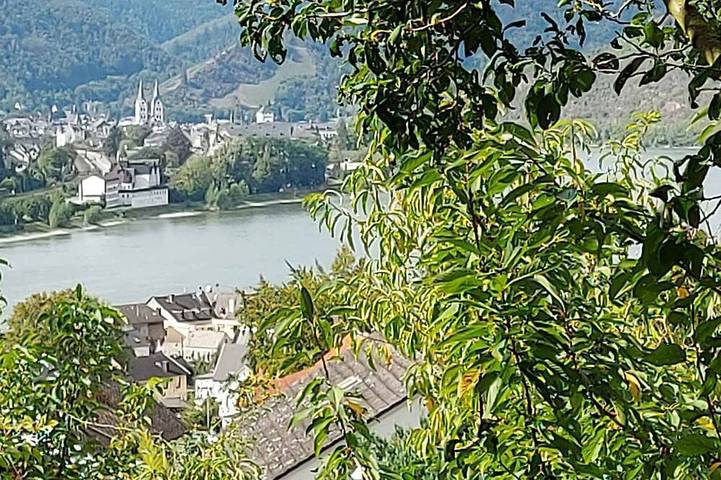 Ferienwohnung für 16 Personen, mit Garten und Sauna in Kamp-Bornhofen