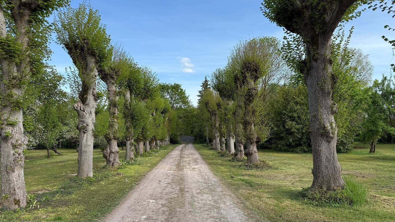 Domaine de l'Etang Mercier - Maison Esther in Villechétif, Regional Nature Park Forêt d'Orient