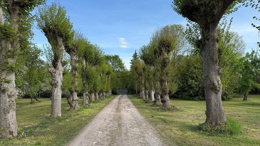 Domaine de l'Etang Mercier - Maison Esther in Villechétif, Parc naturel régional de la Forêt d'Orient