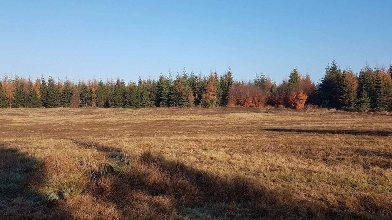 Ferienhaus für 6 Personen (60 m²) in Grenaa in Skærbæk, Tondern und Umgebung