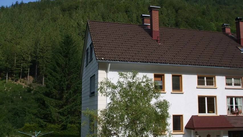 Ferienhaus für 9 Personen, mit Garten, mit Haustier in Todtnau
