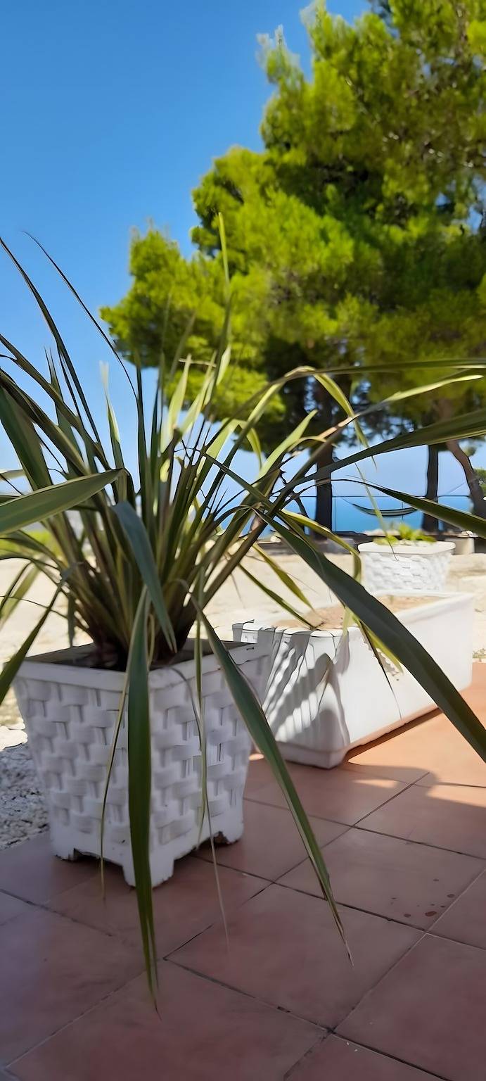 Apartamento entero, Apartamento 'Vittoria' con vistas al mar, wifi y aire acondicionado in Mattinata, Gargano