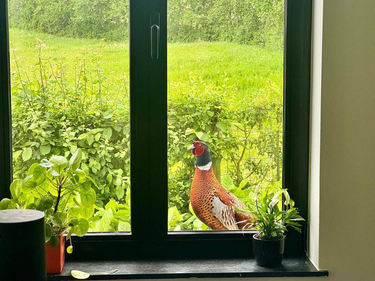 Tyne View Hideaway in Passendale, Zonnebeke