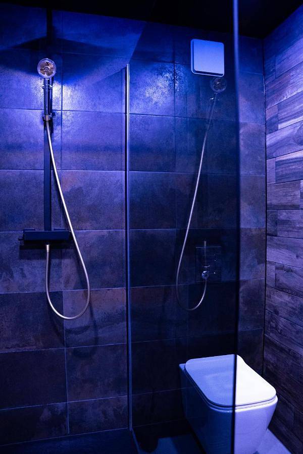 Gîte pour 2 personnes, avec jacuzzi, animaux acceptés à Strasbourg - 4