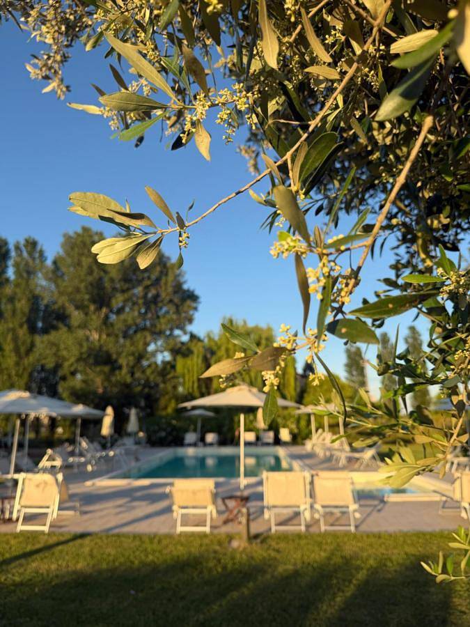 Stanza per gli ospiti per 4 persone, con piscina e giardino - 1