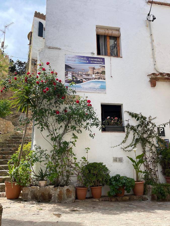 Maison d’hôte pour 2 personnes, animaux acceptés à Tossa de Mar - 3