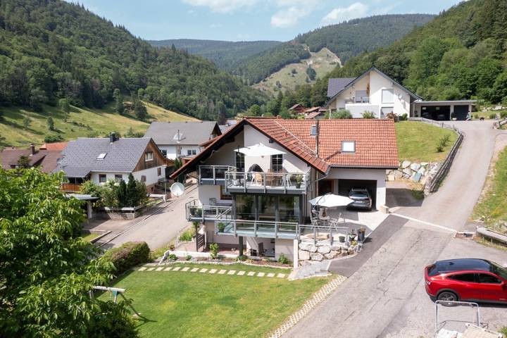 Ferienwohnung für 4 Personen, mit Garten in Todtnau - 2