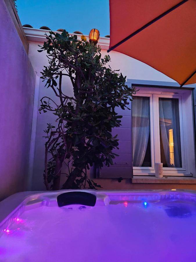 Location de vacances pour 6 personnes, avec jacuzzi ainsi que piscine et jardin, animaux acceptés à Port-des-Barques - 2