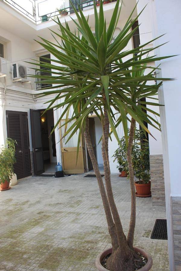 Maison d’hôte pour 2 personnes, avec jardin et jacuzzi à Lecce - 3