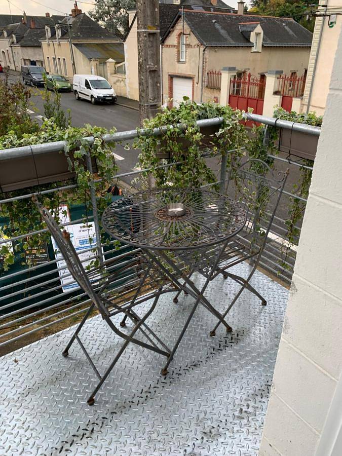 Gîte pour 2 personnes, avec vue et terrasse, animaux acceptés dans Château-Gontier-sur-Mayenne - 4