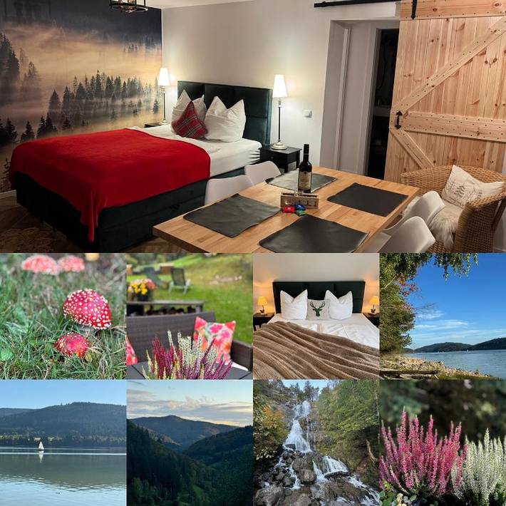 Ferienwohnung für 5 Personen, mit Ausblick und Garten, mit Haustier in Falkau (Feldberg) - 3